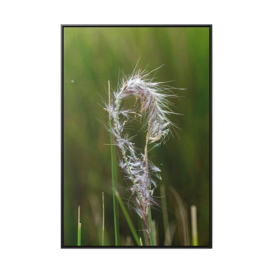 Spreading Seeds - Canvas With Frame - Visiting This World