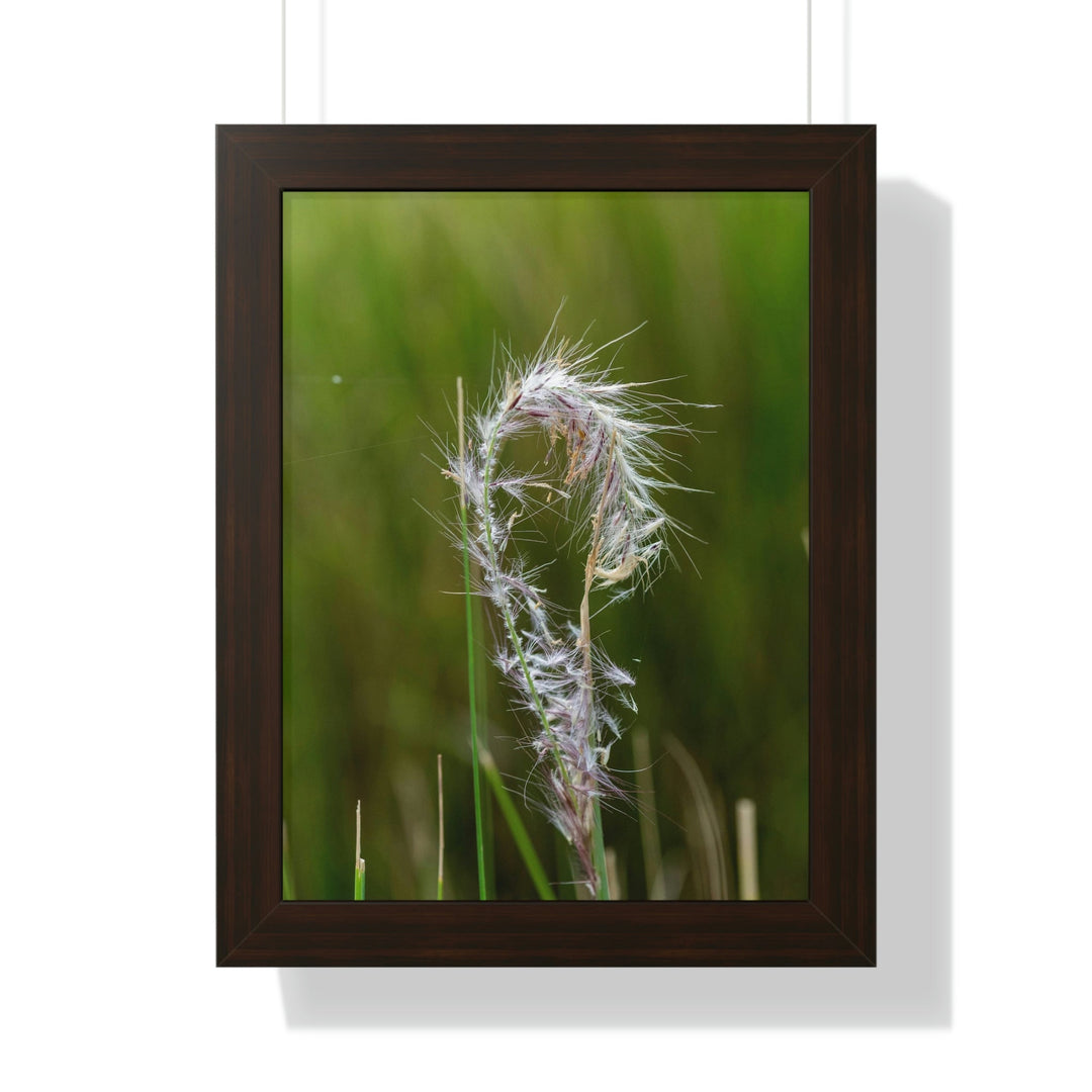 Spreading Seeds - Framed Print - Visiting This World