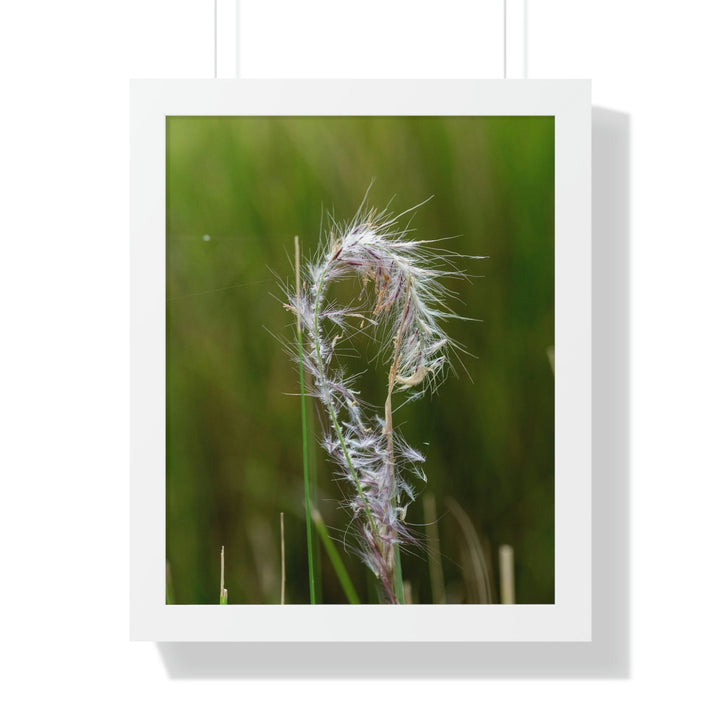 Spreading Seeds - Framed Print - Visiting This World