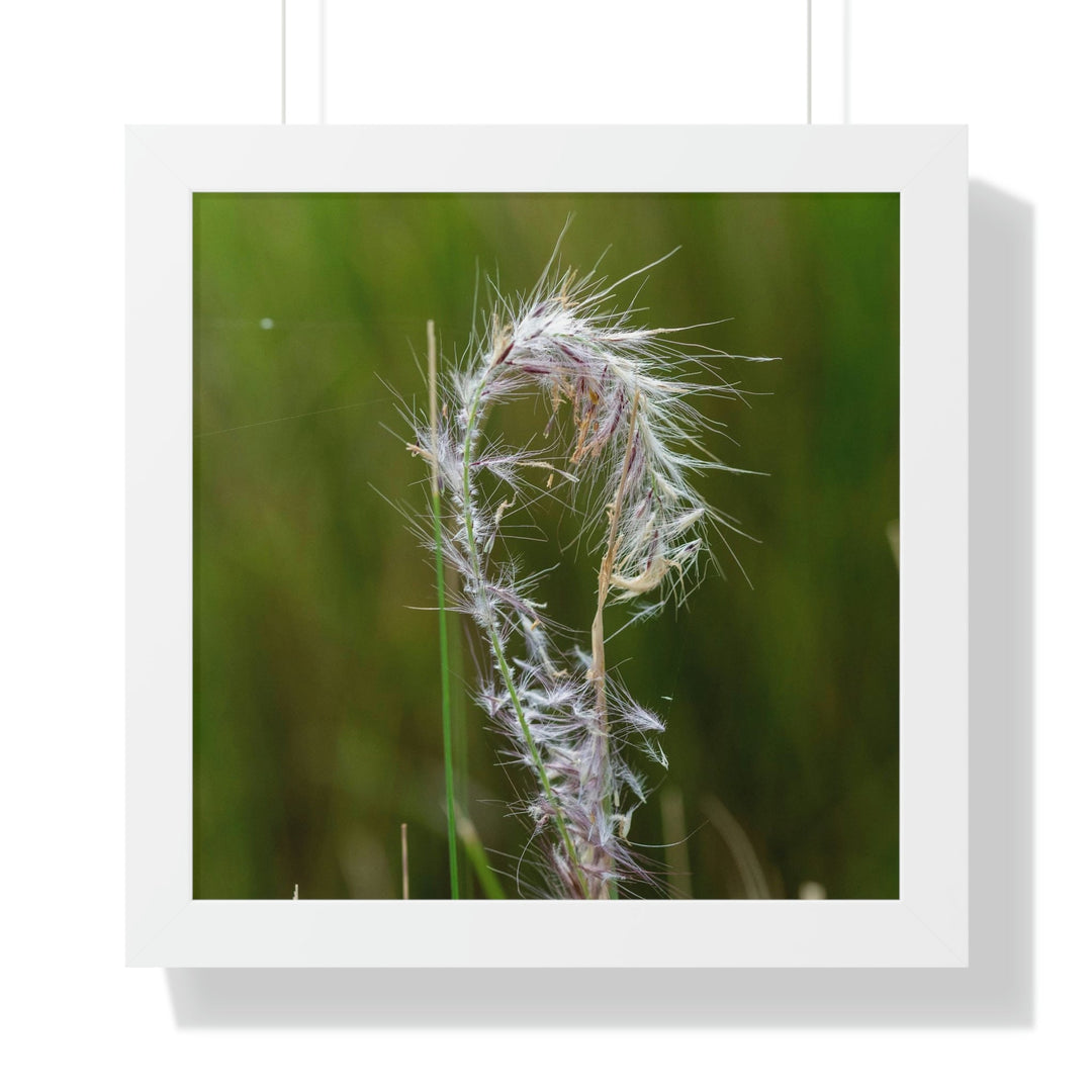 Spreading Seeds - Framed Print - Visiting This World