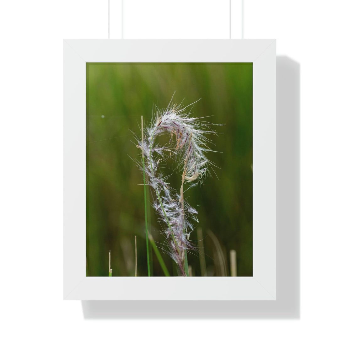 Spreading Seeds - Framed Print - Visiting This World