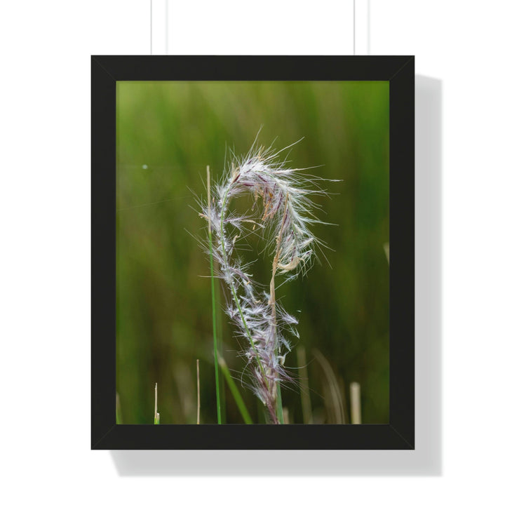 Spreading Seeds - Framed Print - Visiting This World