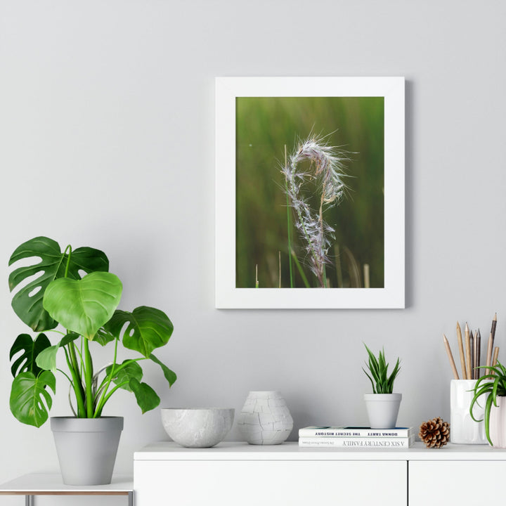 Spreading Seeds - Framed Print - Visiting This World