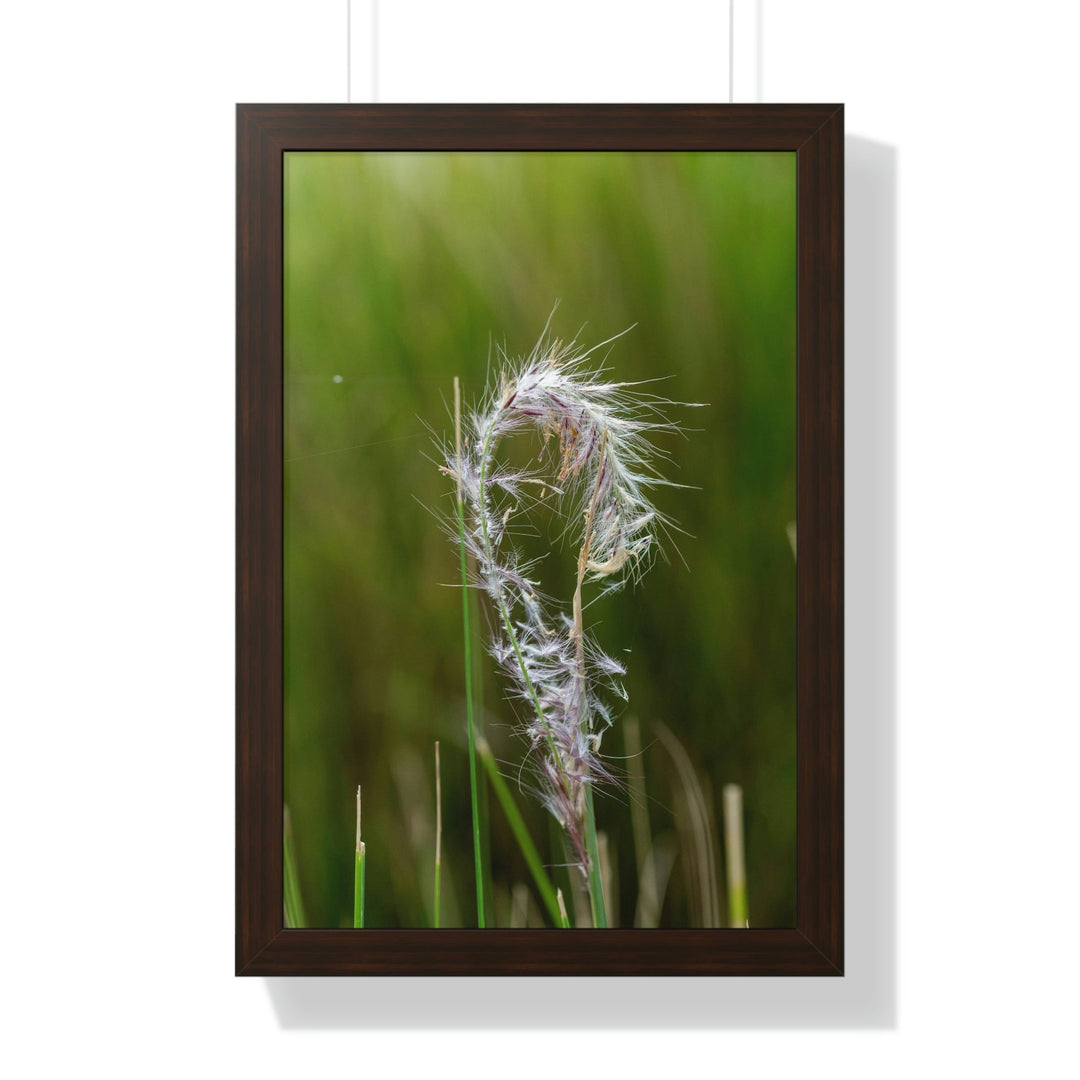 Spreading Seeds - Framed Print - Visiting This World