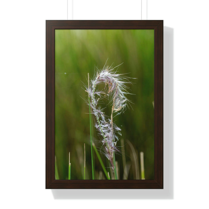 Spreading Seeds - Framed Print - Visiting This World