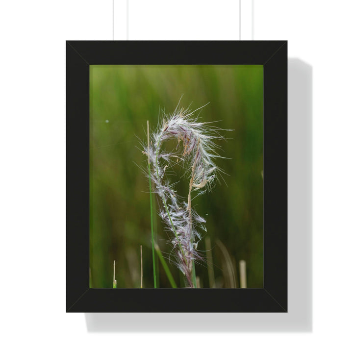 Spreading Seeds - Framed Print - Visiting This World