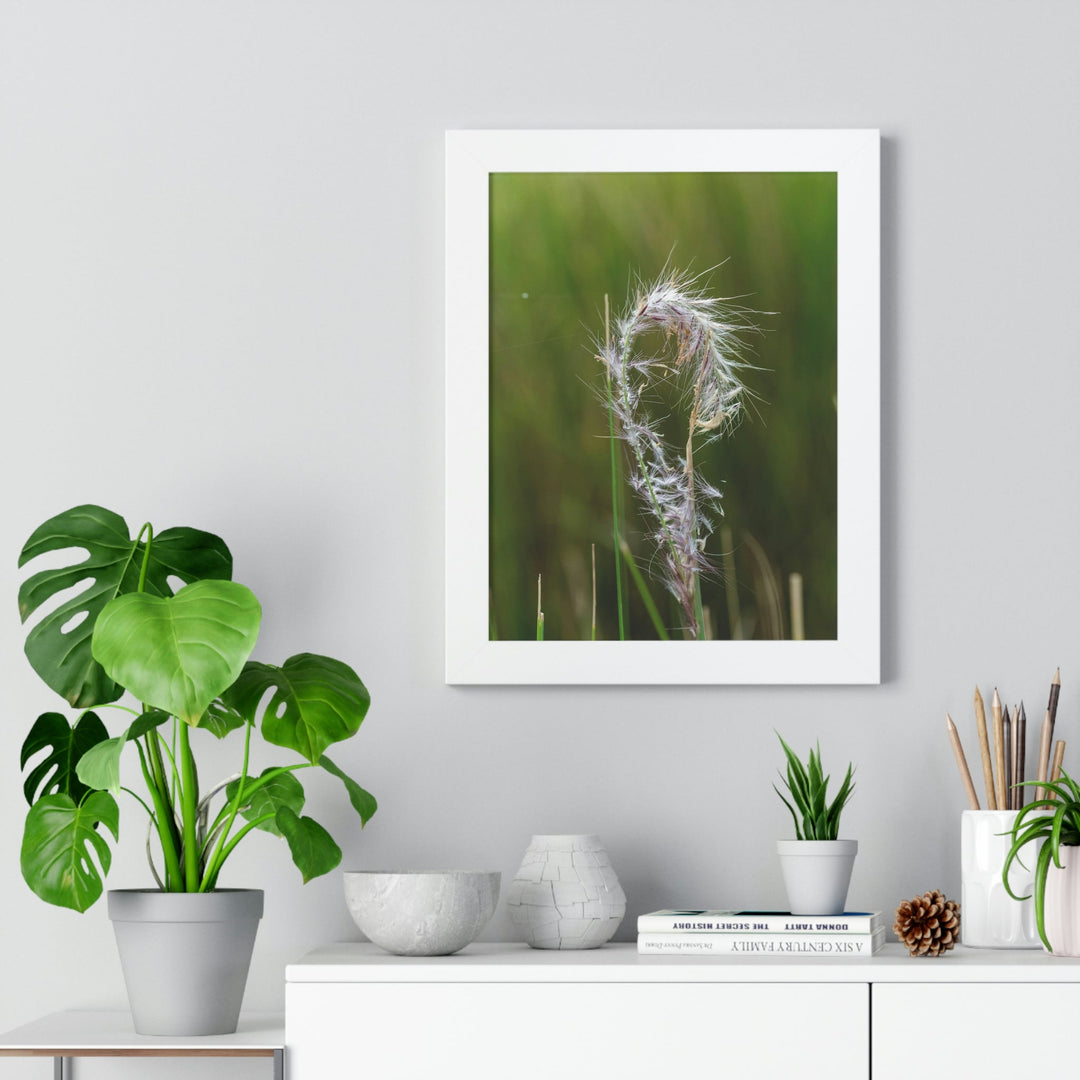 Spreading Seeds - Framed Print - Visiting This World