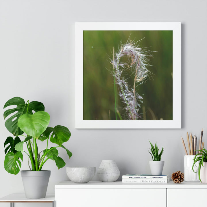 Spreading Seeds - Framed Print - Visiting This World