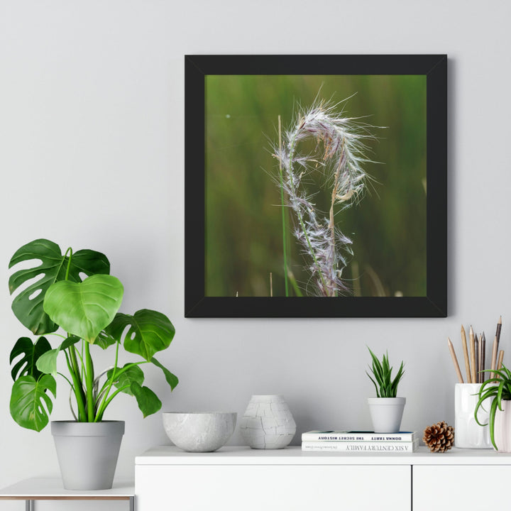 Spreading Seeds - Framed Print - Visiting This World