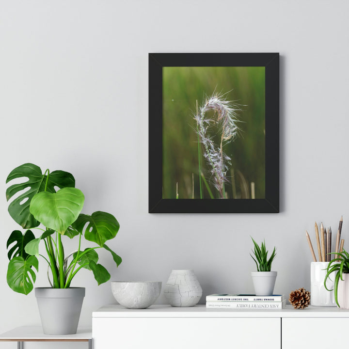 Spreading Seeds - Framed Print - Visiting This World