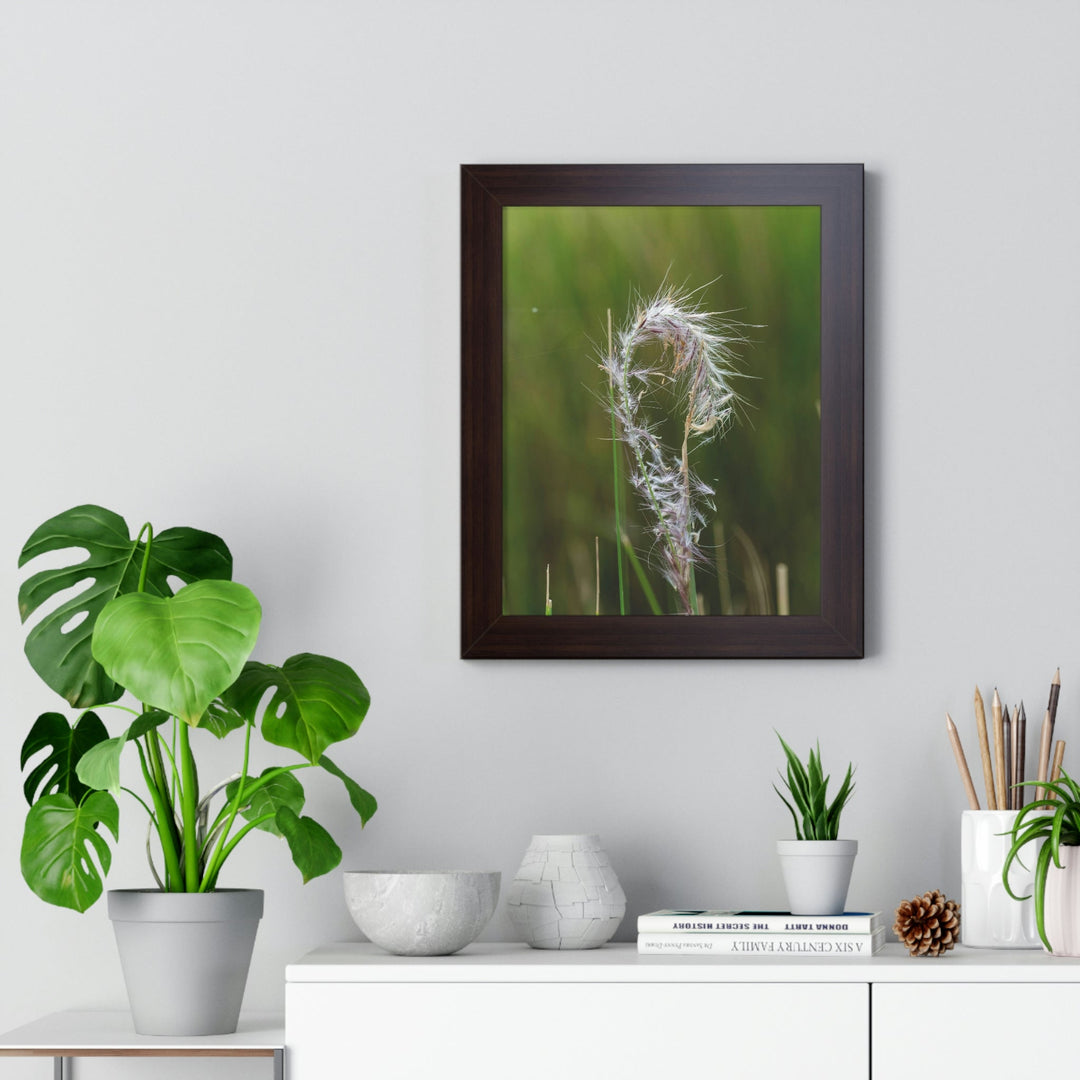 Spreading Seeds - Framed Print - Visiting This World