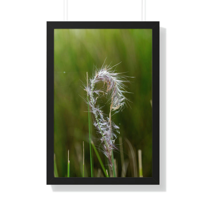 Spreading Seeds - Framed Print - Visiting This World