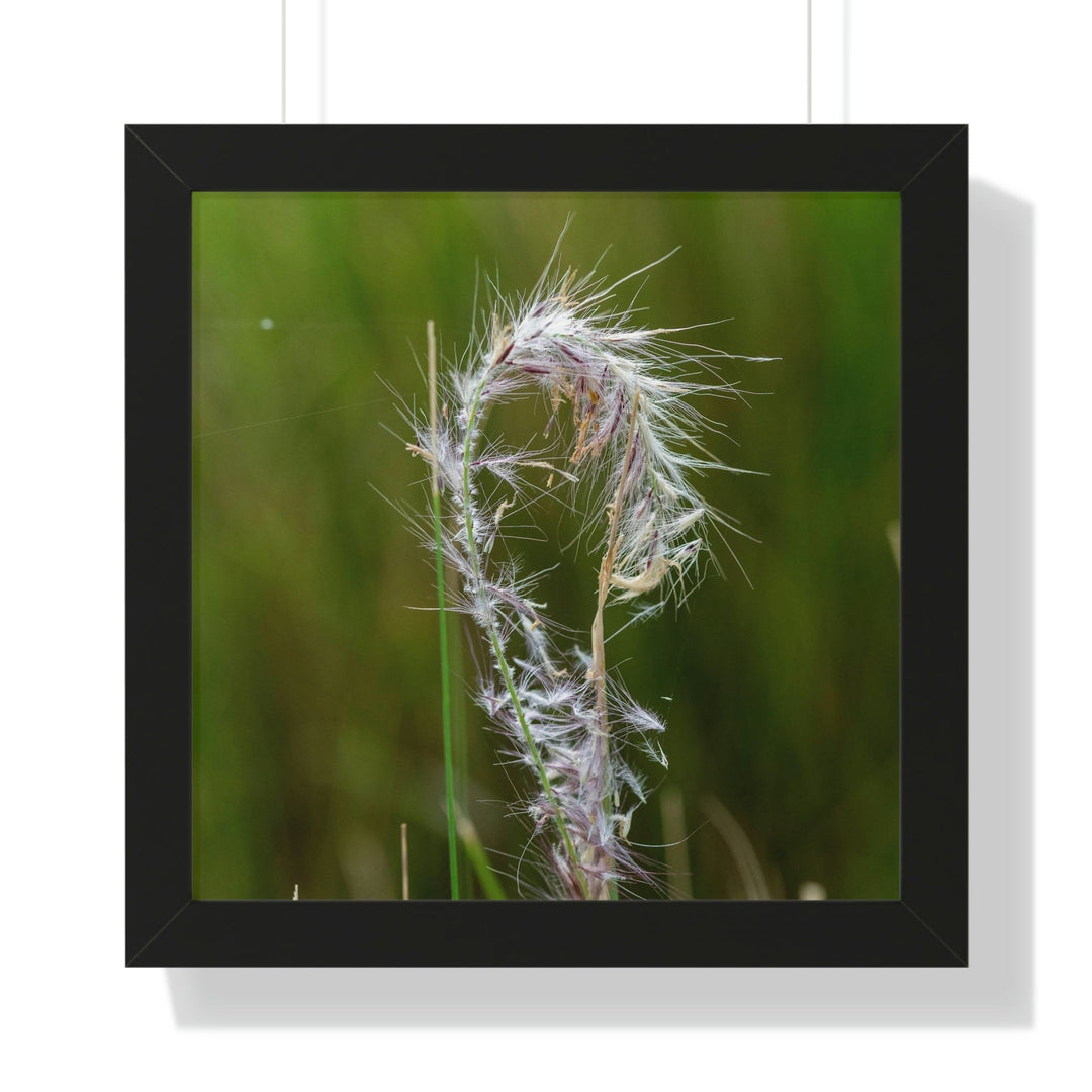 Spreading Seeds - Framed Print - Visiting This World