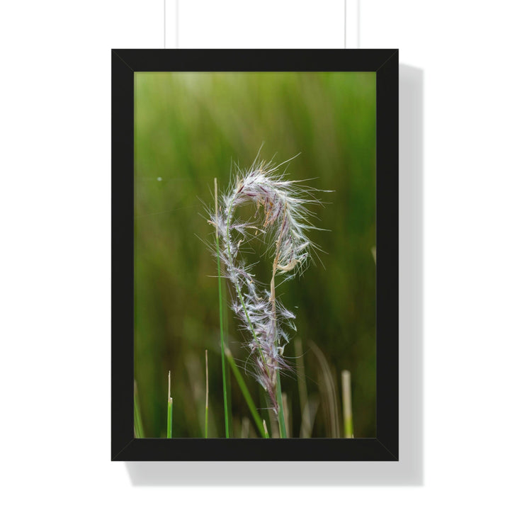 Spreading Seeds - Framed Print - Visiting This World