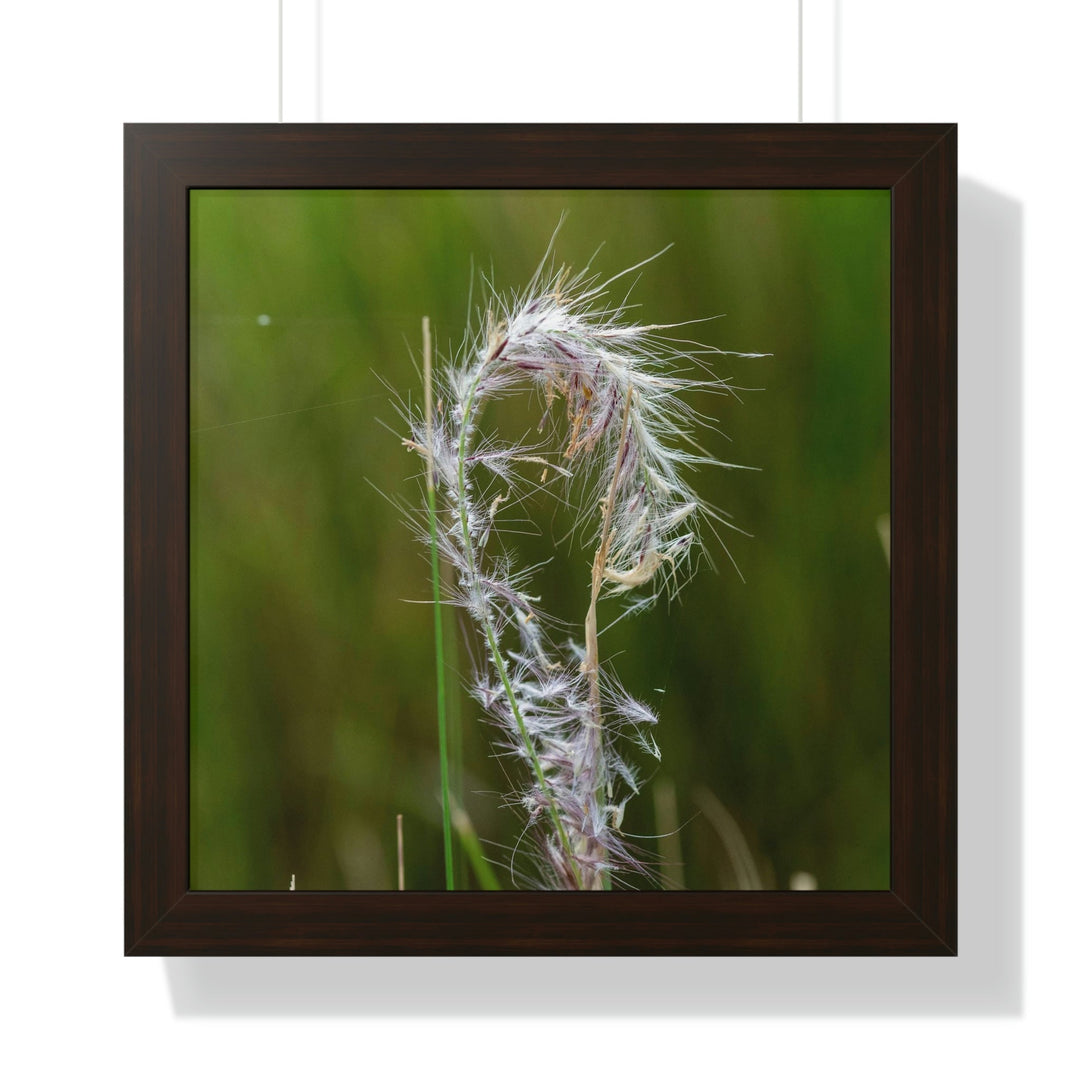 Spreading Seeds - Framed Print - Visiting This World