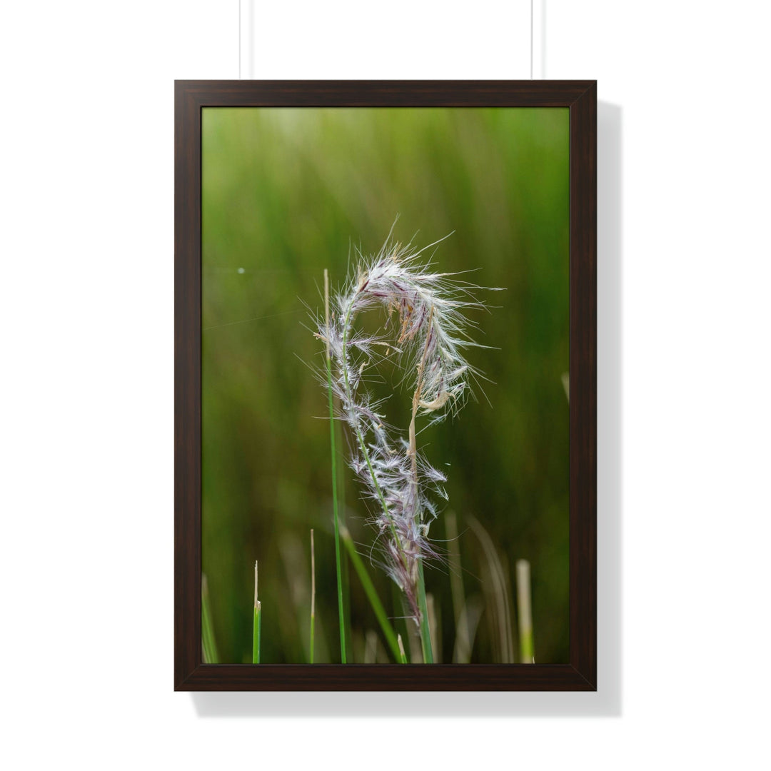 Spreading Seeds - Framed Print - Visiting This World