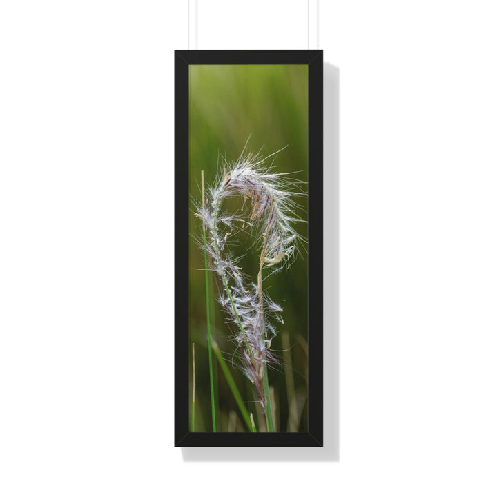 Spreading Seeds - Framed Print - Visiting This World