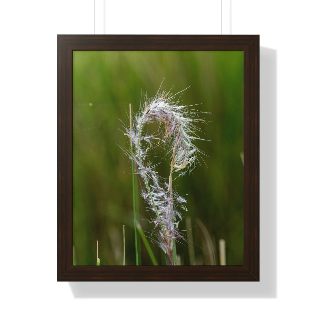 Spreading Seeds - Framed Print - Visiting This World