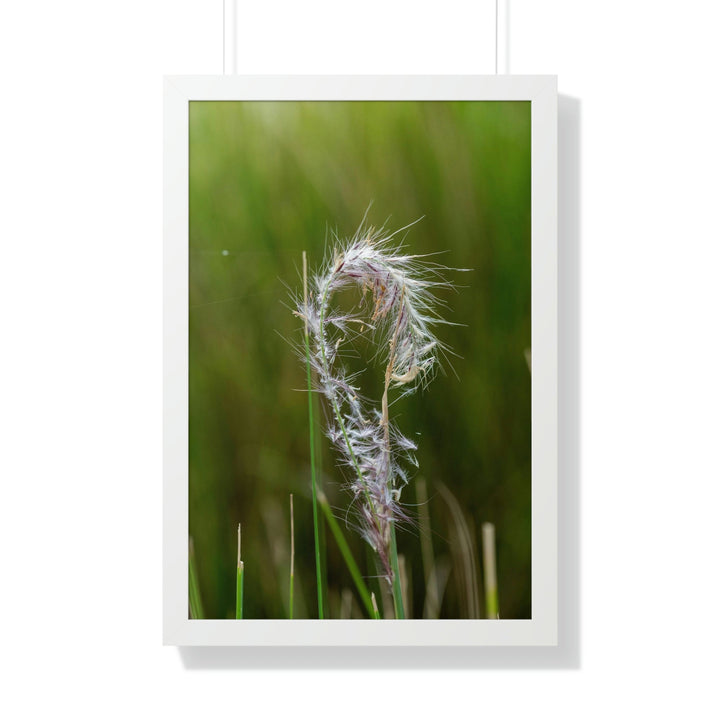 Spreading Seeds - Framed Print - Visiting This World