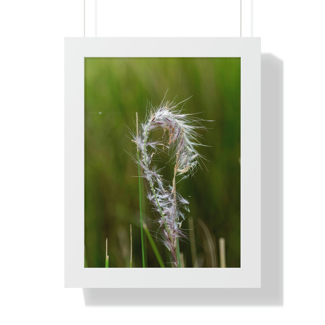 Spreading Seeds - Framed Print - Visiting This World