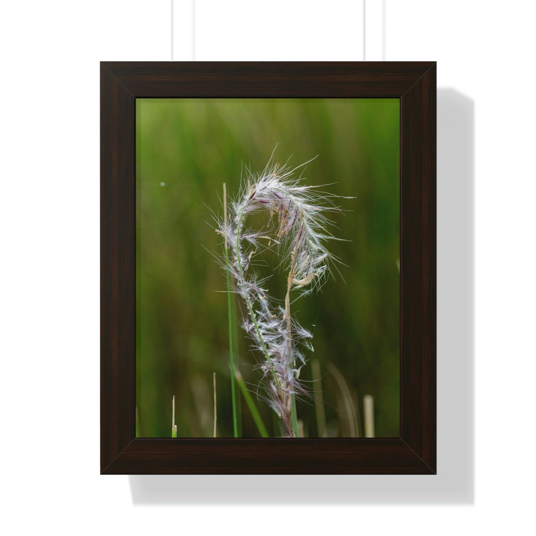 Spreading Seeds - Framed Print - Visiting This World