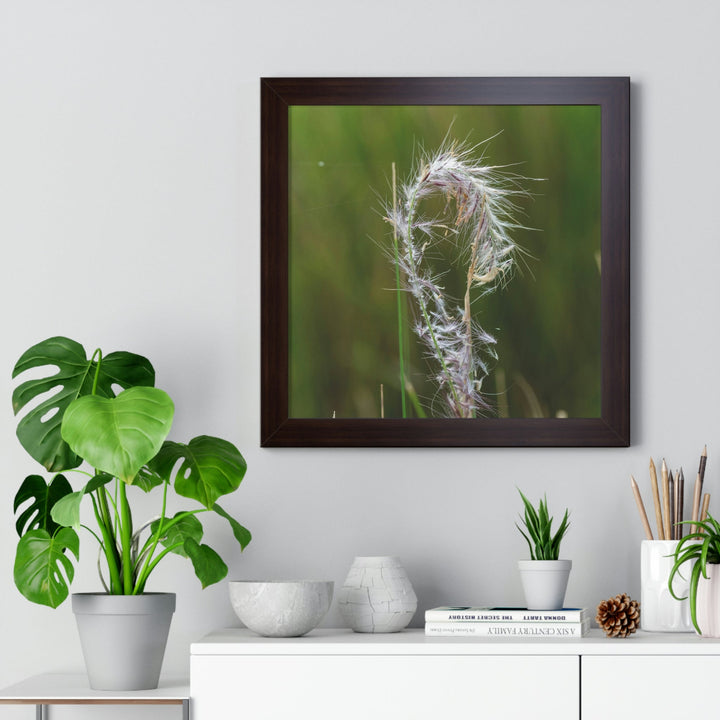 Spreading Seeds - Framed Print - Visiting This World