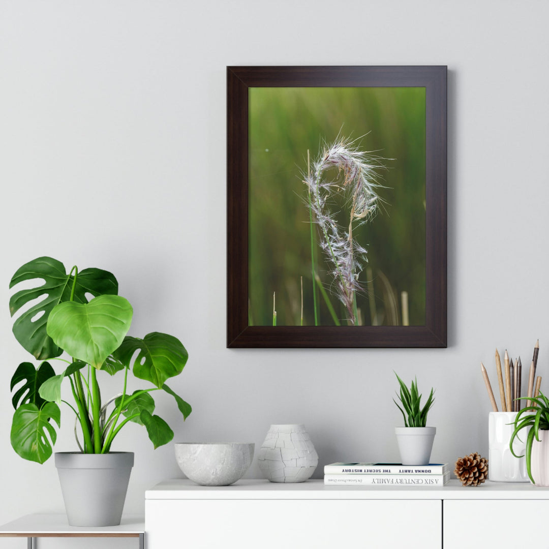 Spreading Seeds - Framed Print - Visiting This World