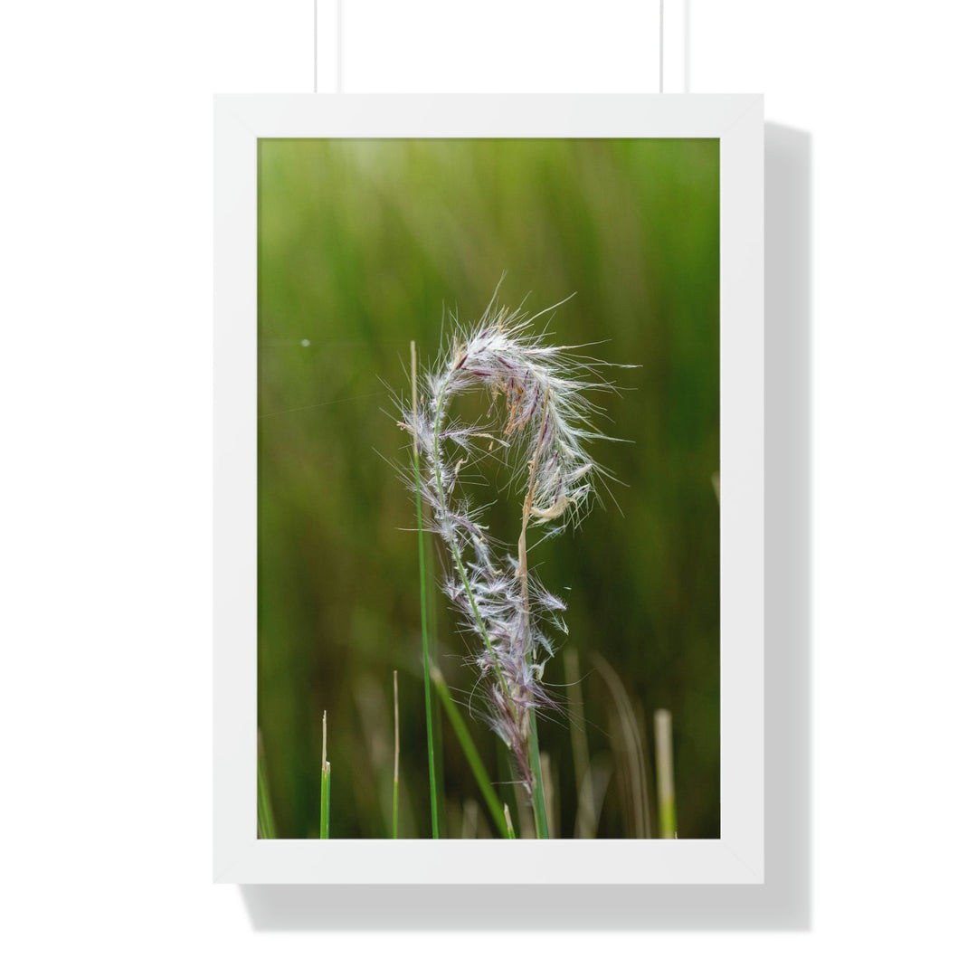 Spreading Seeds - Framed Print - Visiting This World