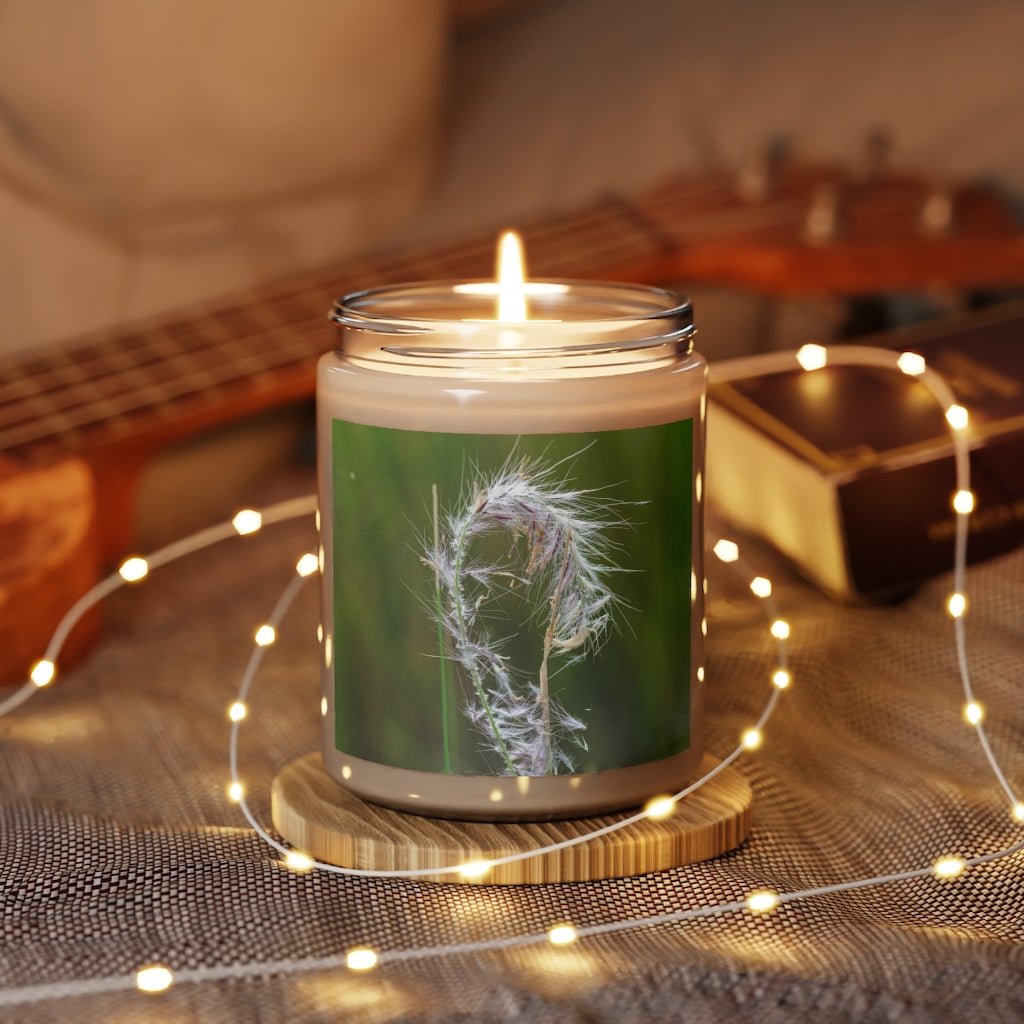 Spreading Seeds - Scented Candle, 9oz - Visiting This World