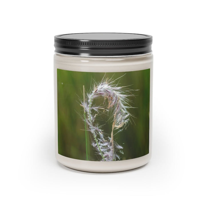 Spreading Seeds - Scented Candle, 9oz - Visiting This World