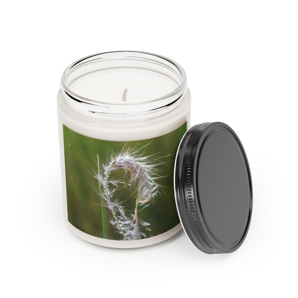 Spreading Seeds - Scented Candle, 9oz - Visiting This World