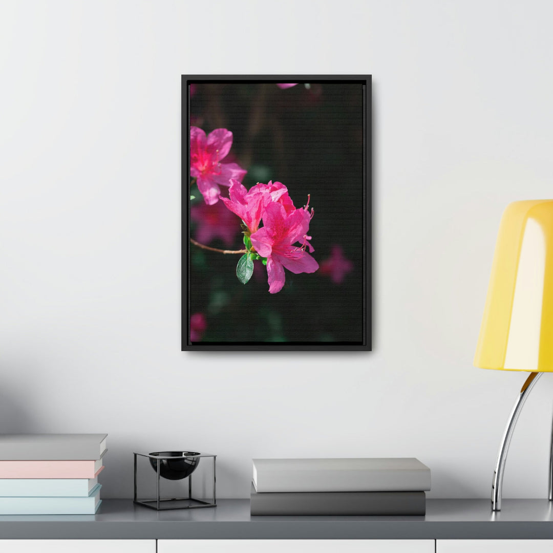 Standout Azalea - Canvas with Frame - Visiting This World