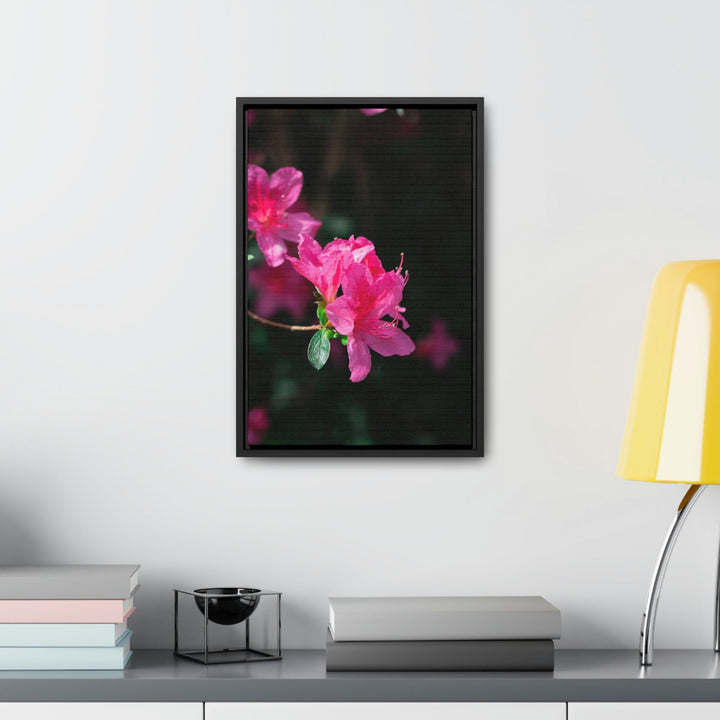 Standout Azalea - Canvas with Frame - Visiting This World