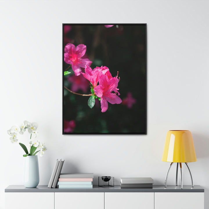 Standout Azalea - Canvas with Frame - Visiting This World