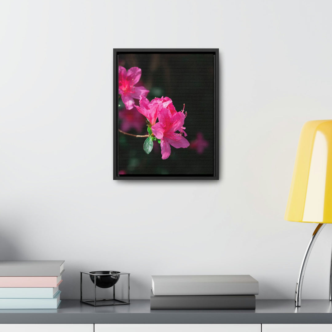 Standout Azalea - Canvas with Frame - Visiting This World