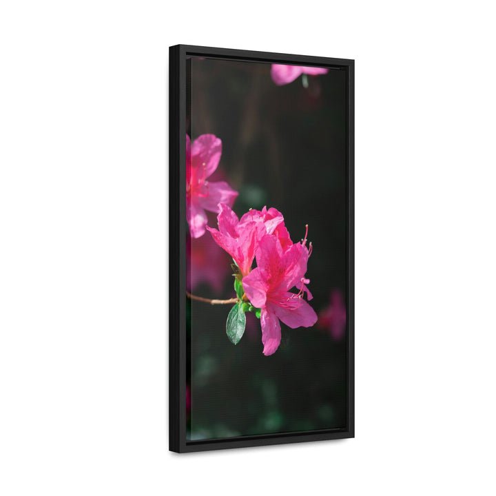 Standout Azalea - Canvas with Frame - Visiting This World