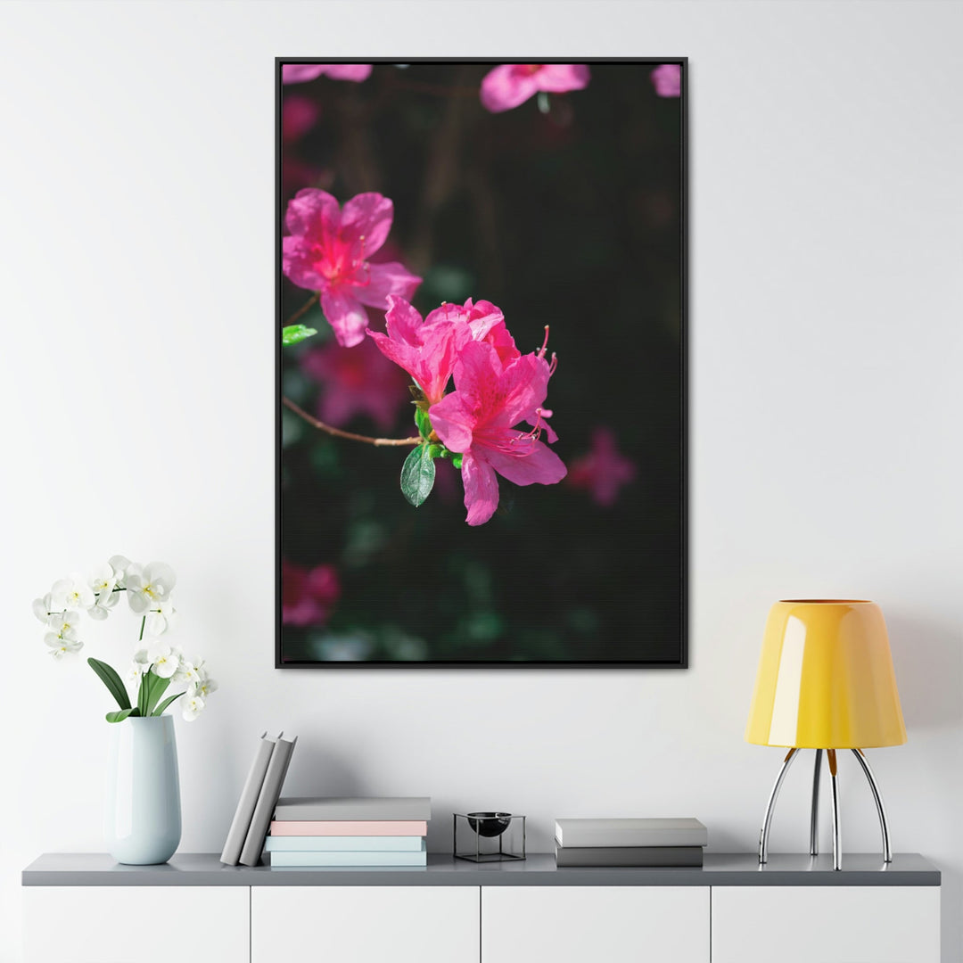 Standout Azalea - Canvas with Frame - Visiting This World