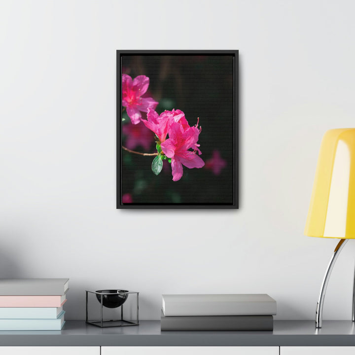 Standout Azalea - Canvas with Frame - Visiting This World