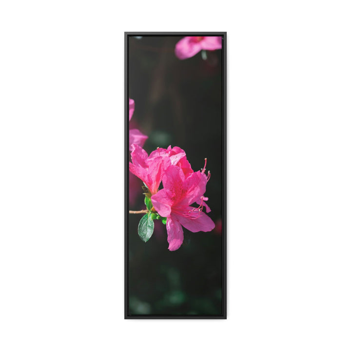 Standout Azalea - Canvas with Frame - Visiting This World