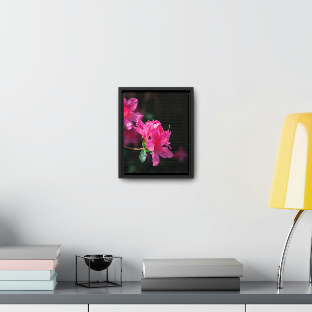 Standout Azalea - Canvas with Frame - Visiting This World