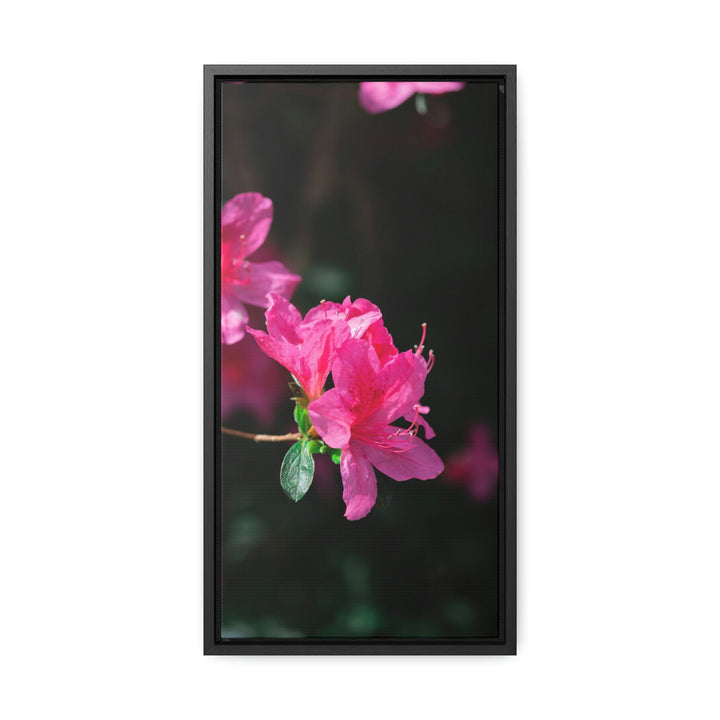 Standout Azalea - Canvas with Frame - Visiting This World