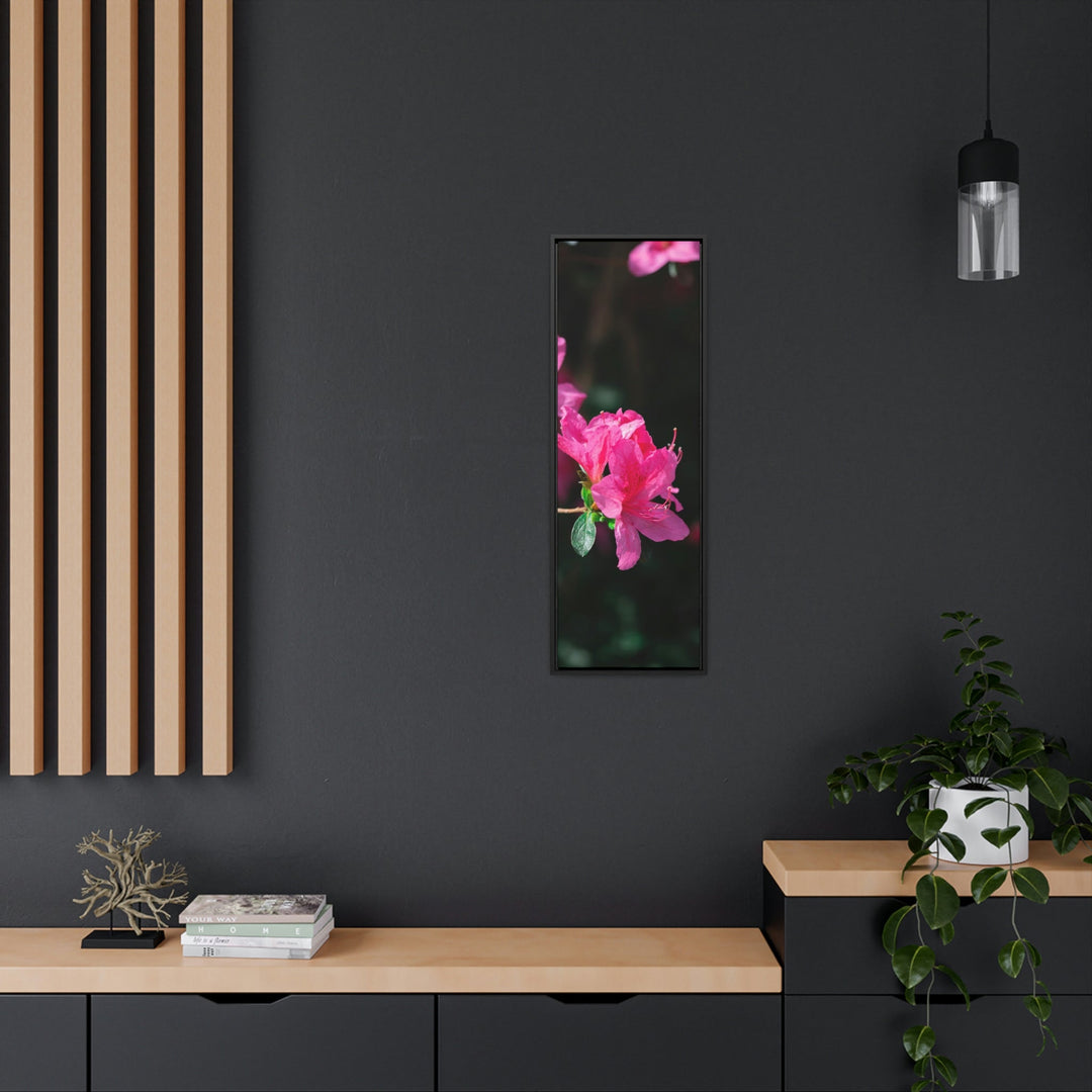 Standout Azalea - Canvas with Frame - Visiting This World