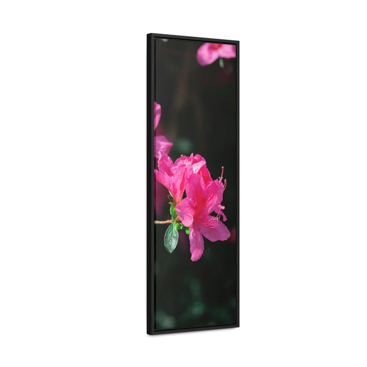 Standout Azalea - Canvas with Frame - Visiting This World