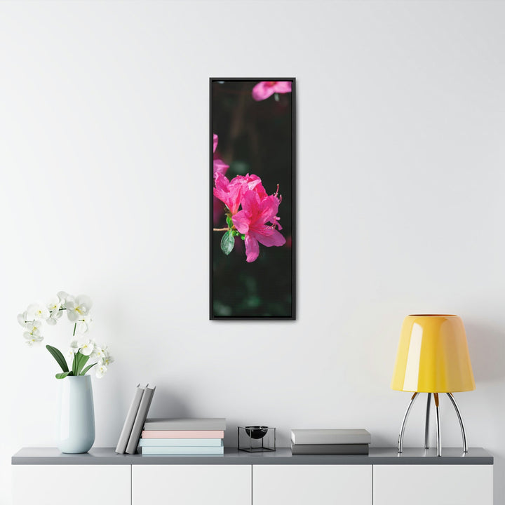 Standout Azalea - Canvas with Frame - Visiting This World