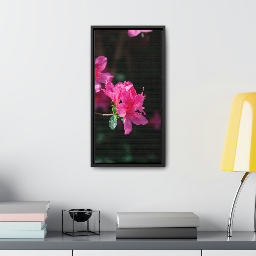 Standout Azalea - Canvas with Frame - Visiting This World