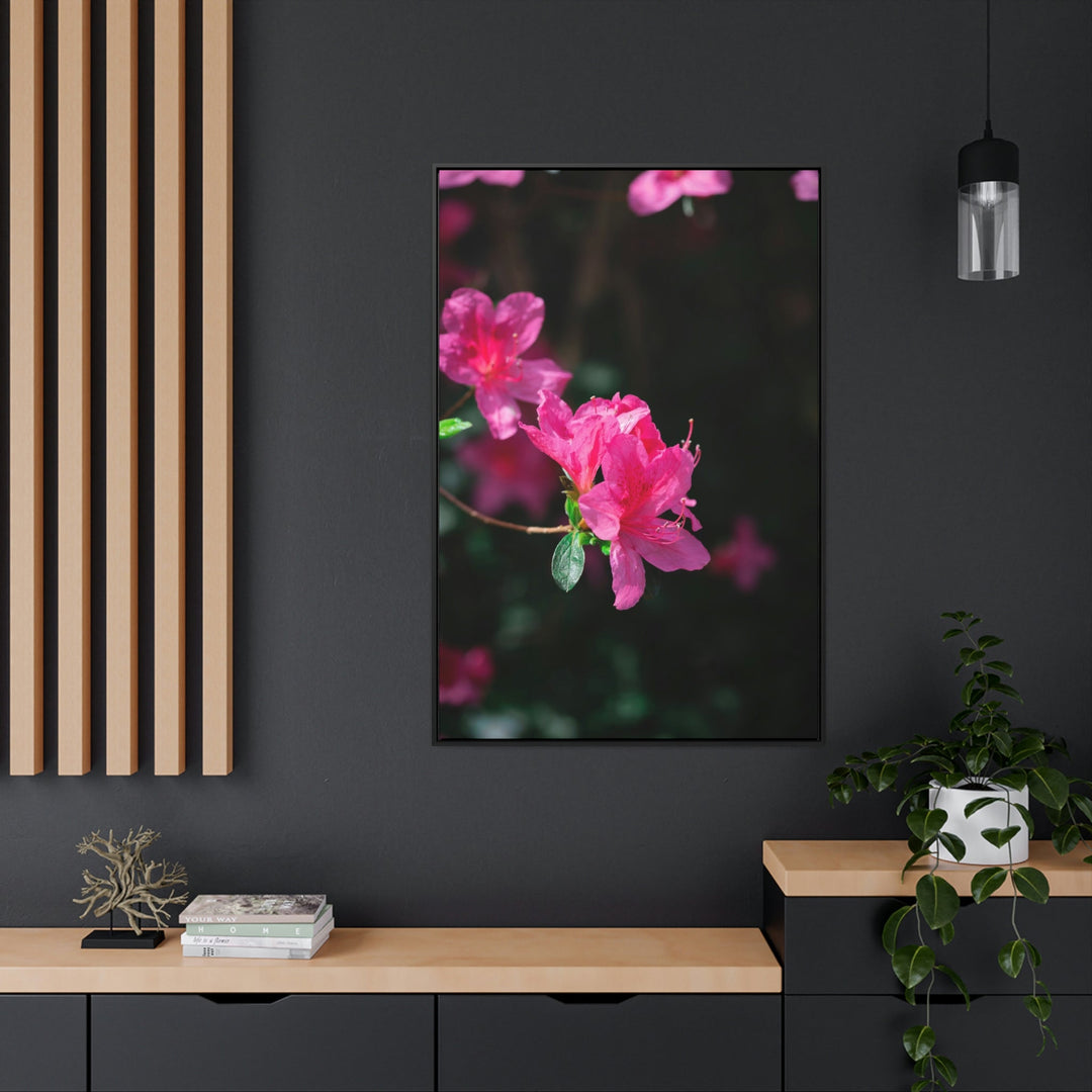 Standout Azalea - Canvas with Frame - Visiting This World