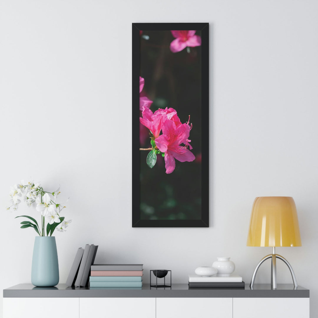 Standout Azalea - Framed Print - Visiting This World