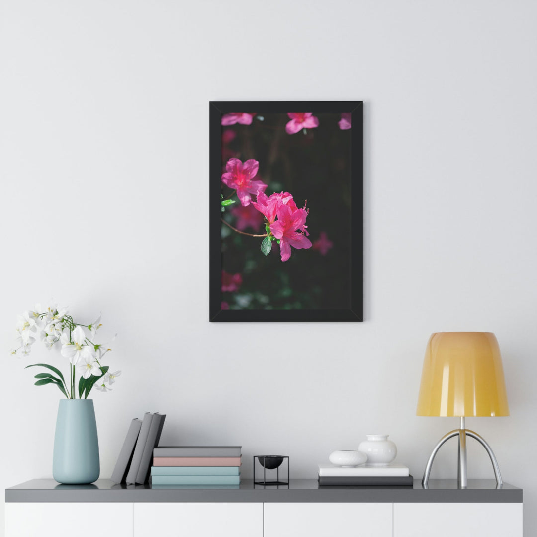 Standout Azalea - Framed Print - Visiting This World