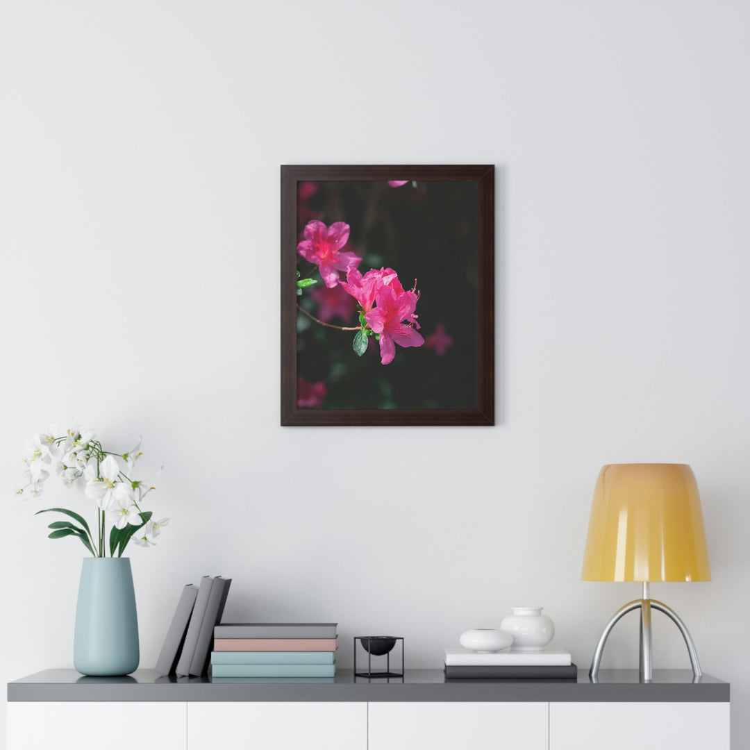 Standout Azalea - Framed Print - Visiting This World