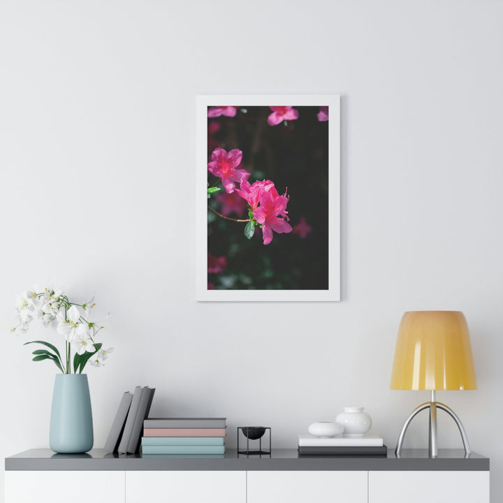 Standout Azalea - Framed Print - Visiting This World